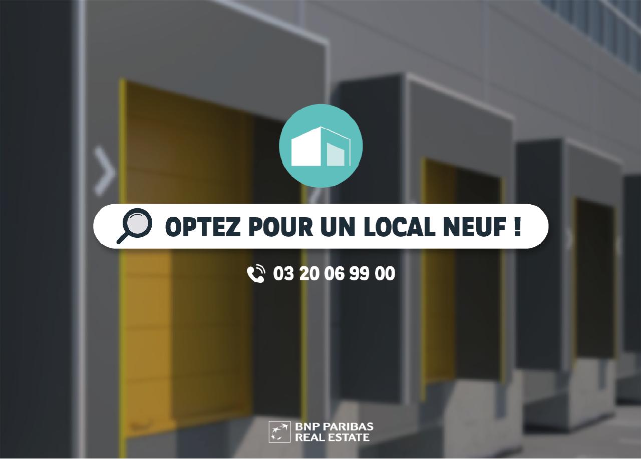 Local d'activité Willems 7309m² Vente local d'activité Willems Nord OVACT2423723 12